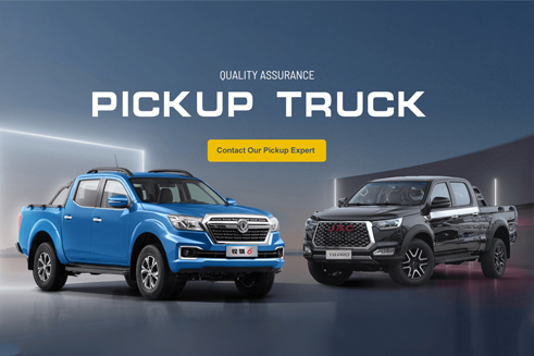 Chinese Pickup Truck