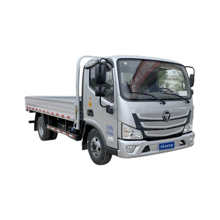 FOTON LIGHT CARGO TRUCK