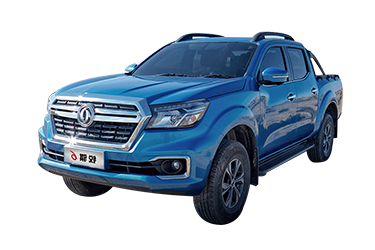 Dongfeng Rich 6 Petrol Diesel Pickup